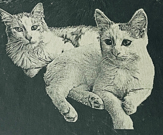 Lasergravur auf Schiefertafel "Motiv Katzen"